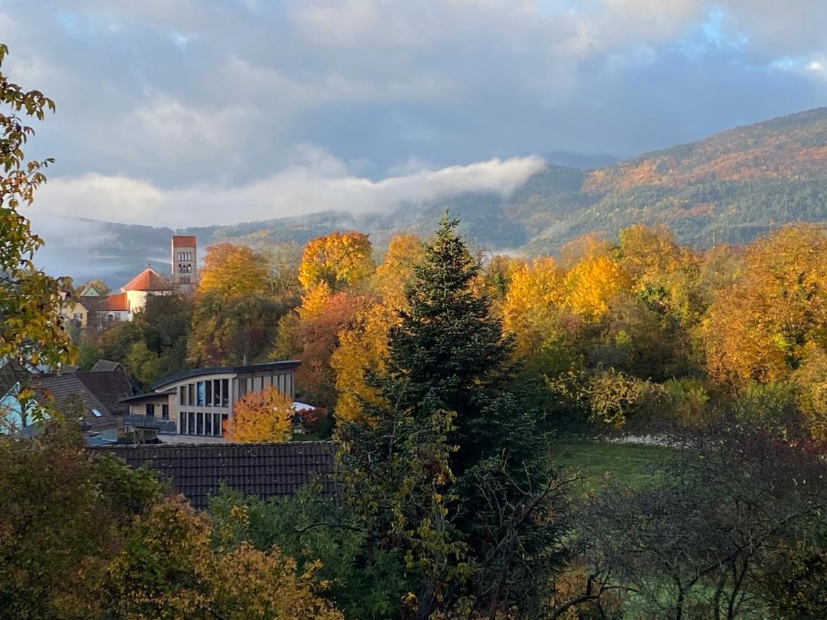 Le Moonloft Insolite Tiny-House Dans Les Arbres & 1 Seance De Sauna Pour 2 Avec Vue Panoramique Osenbach Εξωτερικό φωτογραφία