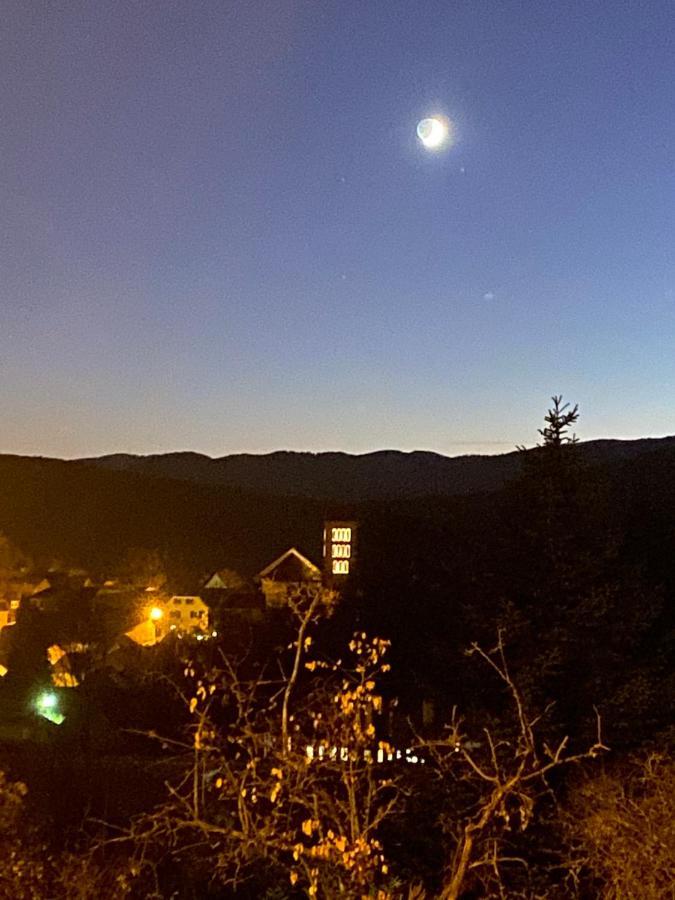 Le Moonloft Insolite Tiny-House Dans Les Arbres & 1 Seance De Sauna Pour 2 Avec Vue Panoramique Osenbach Εξωτερικό φωτογραφία