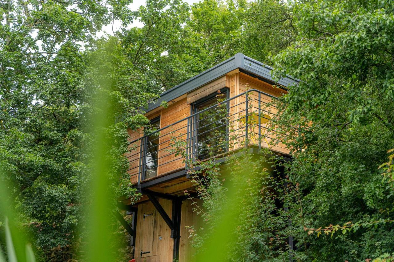 Le Moonloft Insolite Tiny-House Dans Les Arbres & 1 Seance De Sauna Pour 2 Avec Vue Panoramique Osenbach Εξωτερικό φωτογραφία