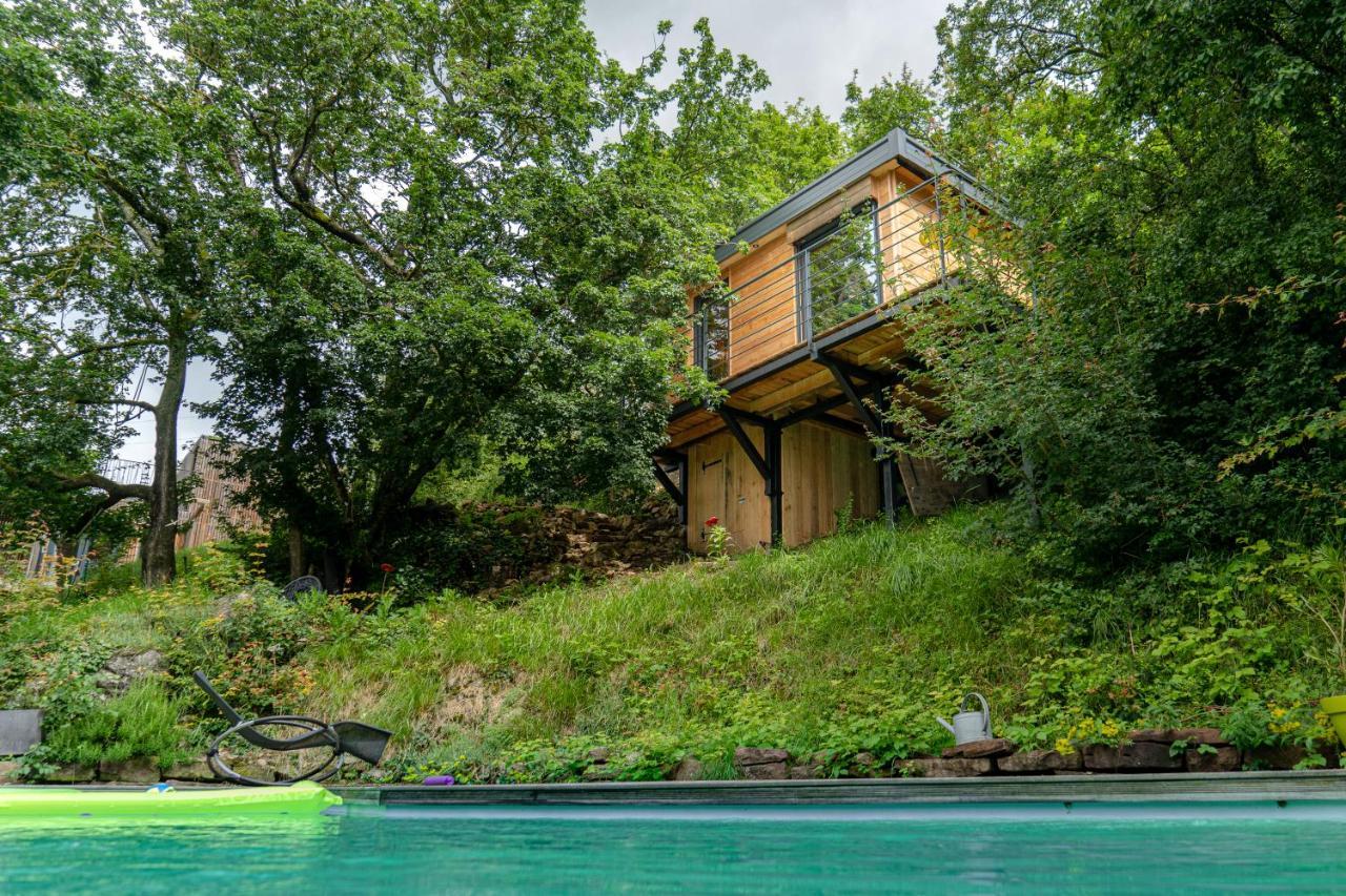 Le Moonloft Insolite Tiny-House Dans Les Arbres & 1 Seance De Sauna Pour 2 Avec Vue Panoramique Osenbach Εξωτερικό φωτογραφία