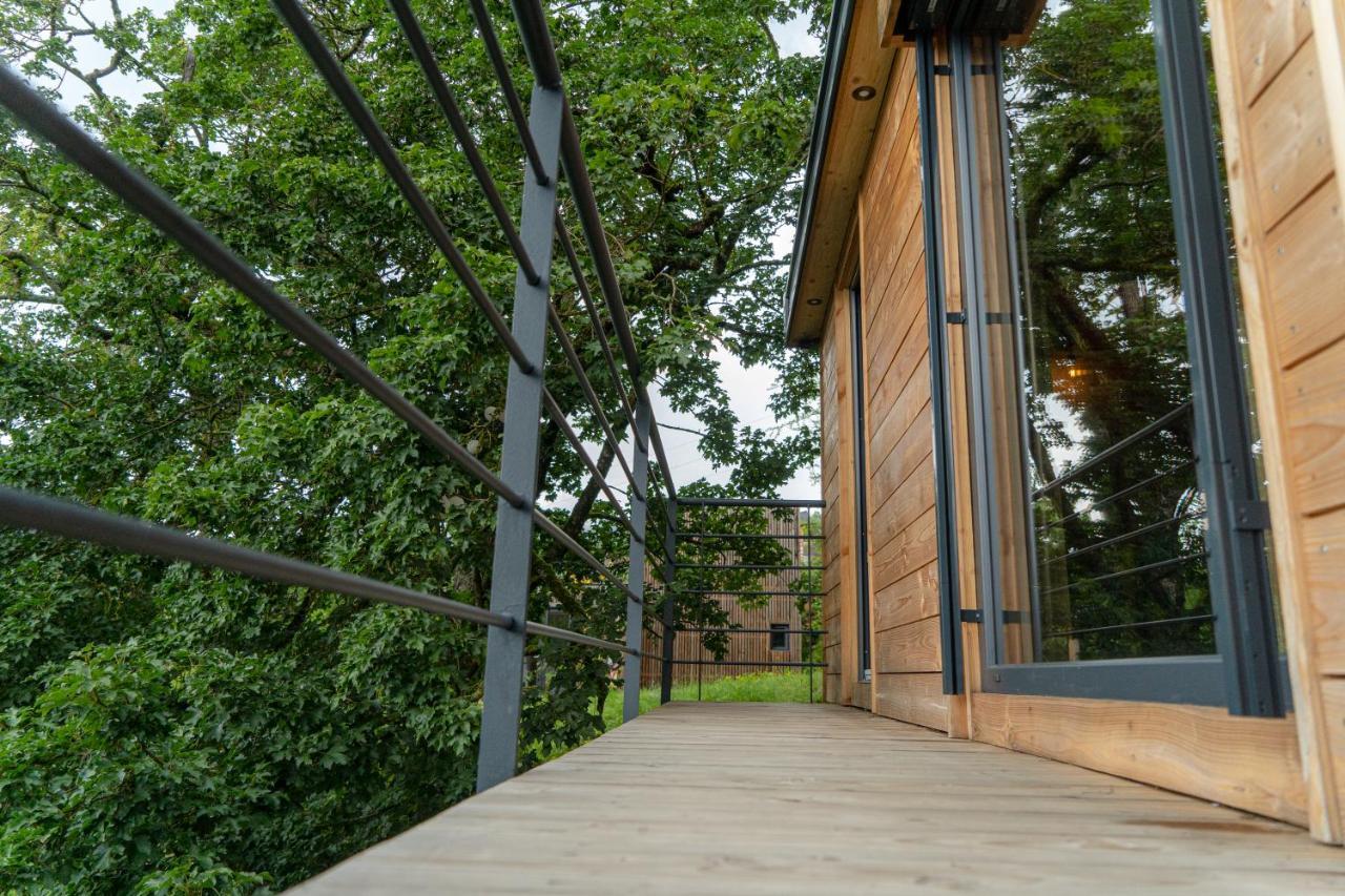 Le Moonloft Insolite Tiny-House Dans Les Arbres & 1 Seance De Sauna Pour 2 Avec Vue Panoramique Osenbach Εξωτερικό φωτογραφία