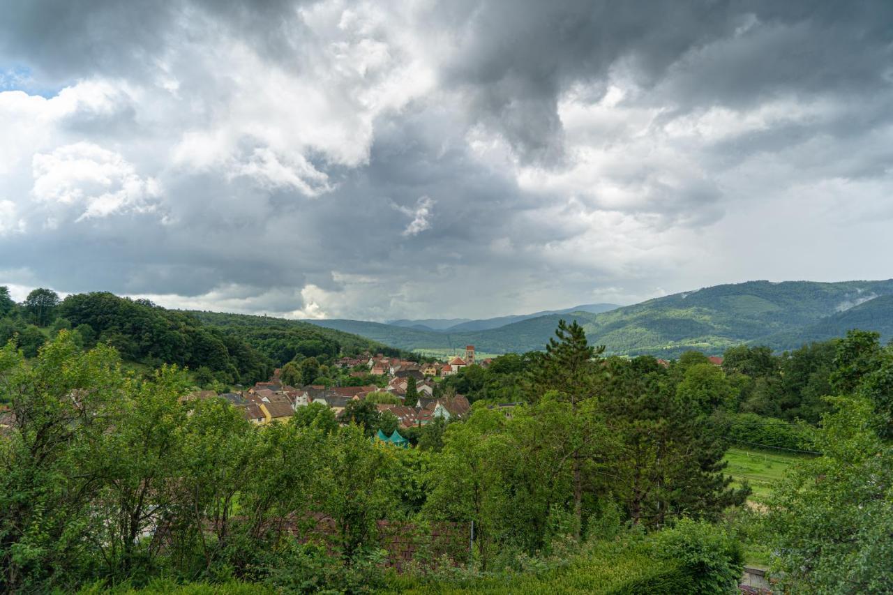 Le Moonloft Insolite Tiny-House Dans Les Arbres & 1 Seance De Sauna Pour 2 Avec Vue Panoramique Osenbach Εξωτερικό φωτογραφία