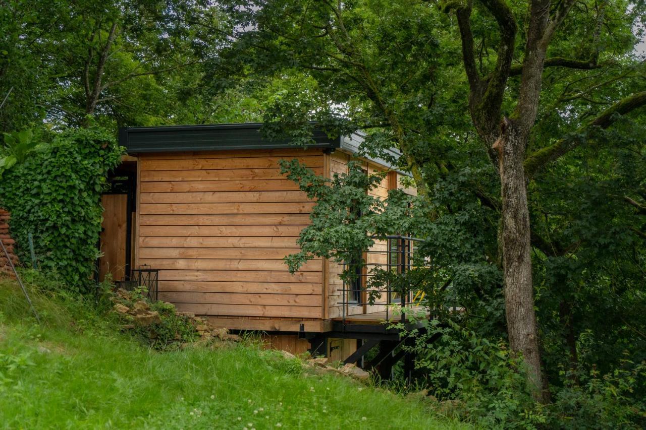 Le Moonloft Insolite Tiny-House Dans Les Arbres & 1 Seance De Sauna Pour 2 Avec Vue Panoramique Osenbach Εξωτερικό φωτογραφία
