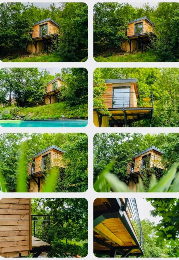 Le Moonloft Insolite Tiny-House Dans Les Arbres & 1 Seance De Sauna Pour 2 Avec Vue Panoramique Osenbach Εξωτερικό φωτογραφία